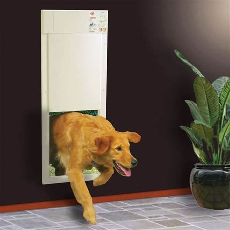 electronic doors for dogs